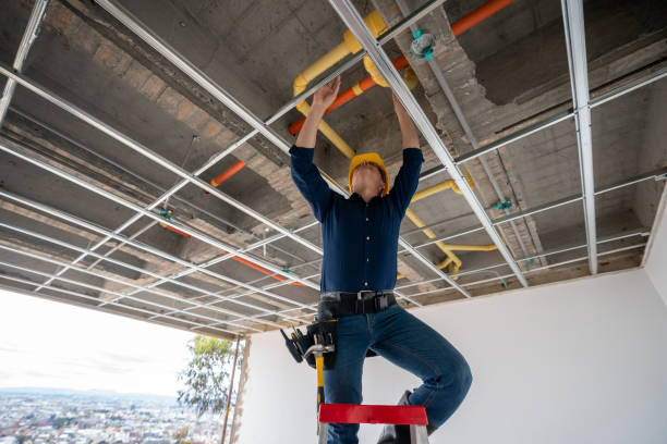 Best Commercial Plumbing Services  in Fort Loramie, OH